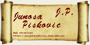 Junoša Pisković vizit kartica
